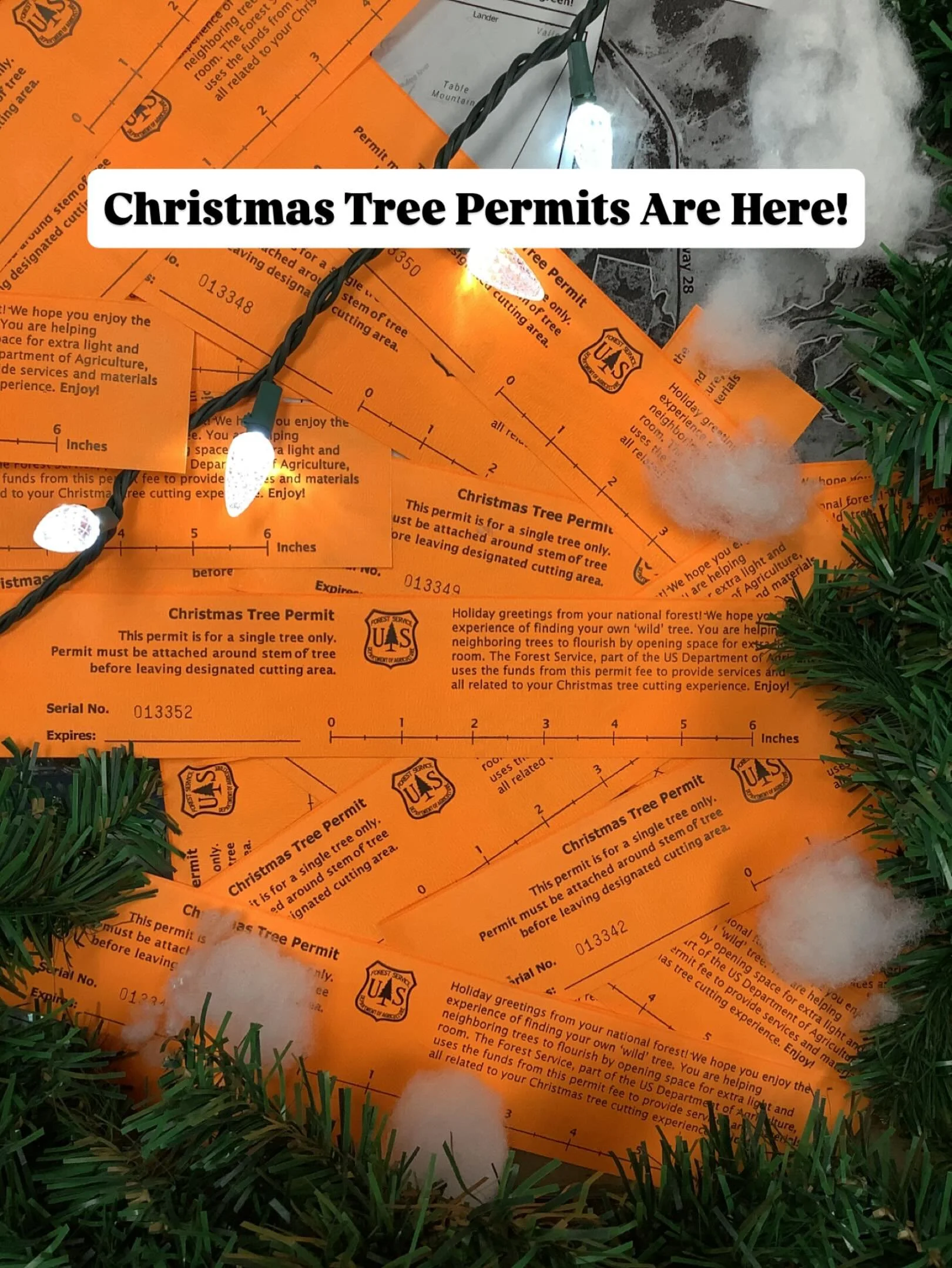 Christmas tree permits are finally here! Stop by the shop and grab your permit for only $8 and make some memories this season. Winter is coming!