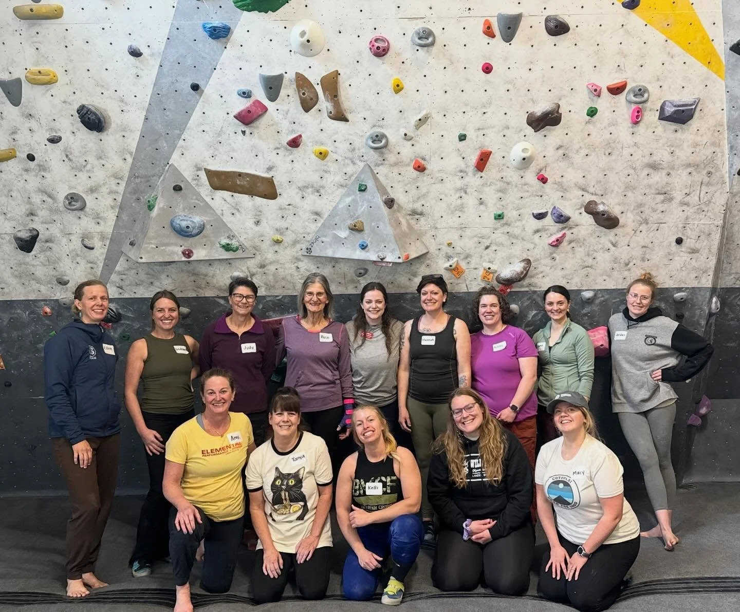 Girls day at the gym 💪🩷

Wild Iris with @wyo.state.parks Wildflower Women programming spent Saturday morning at @elemental_performancefitness for a class on bouldering. 

Thank you to Ranger Angelina and Elemental owner Ellen for making this possib