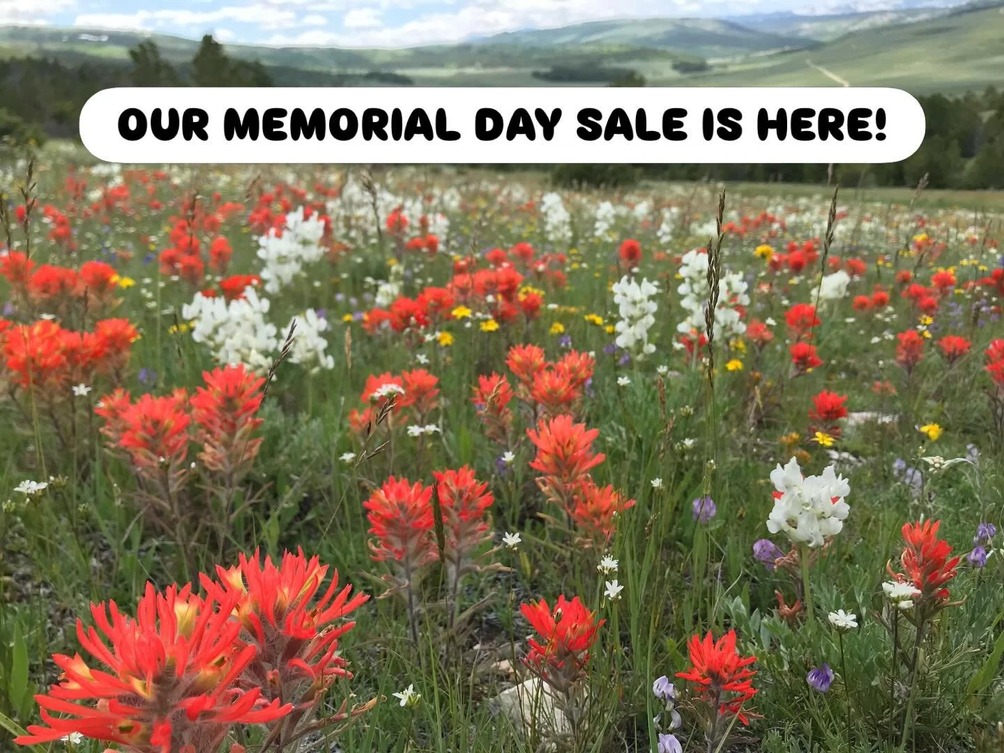 Our Memorial Day Sale kicks off tomorrow!

Score some great deals Friday, May 22nd through Monday, May 25th! Come kick off the start of summer with us!

Some deals to check out 👀

👖 50% off select apparel
🩴 20% off all climbing shoes
🧗 10% off al