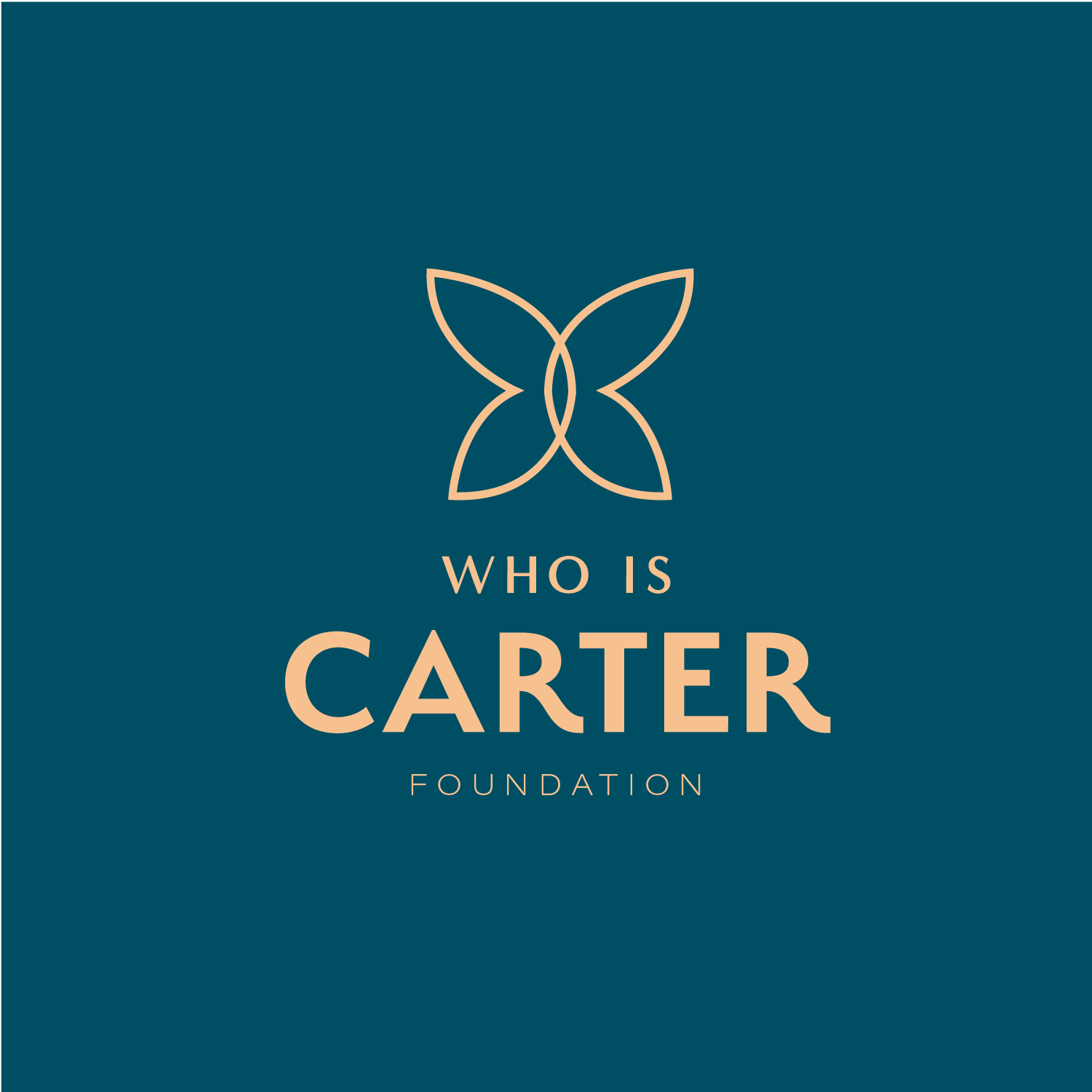 WhoIsCarter foundation hello big idea.png
