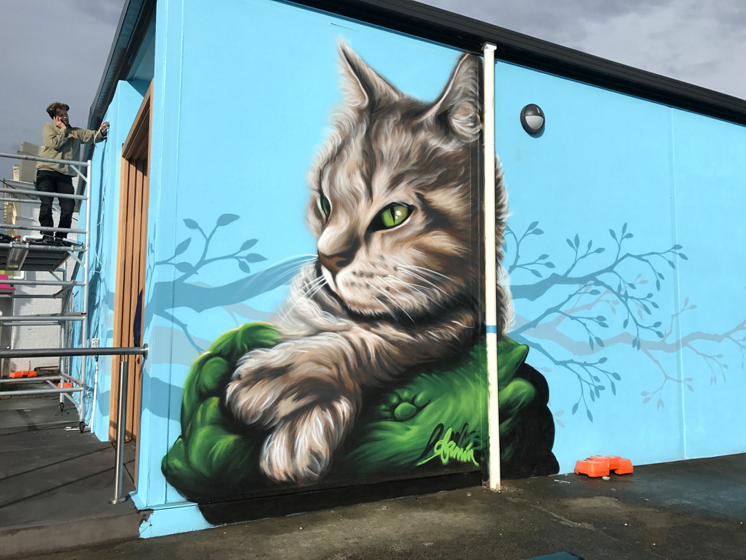 Spray Paint on Wall, The Cat Clinic, New Town, 2017