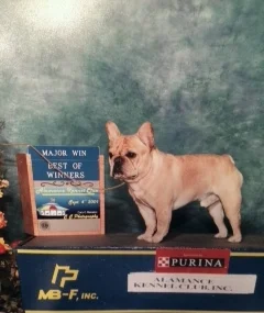 tank-sire.JPG