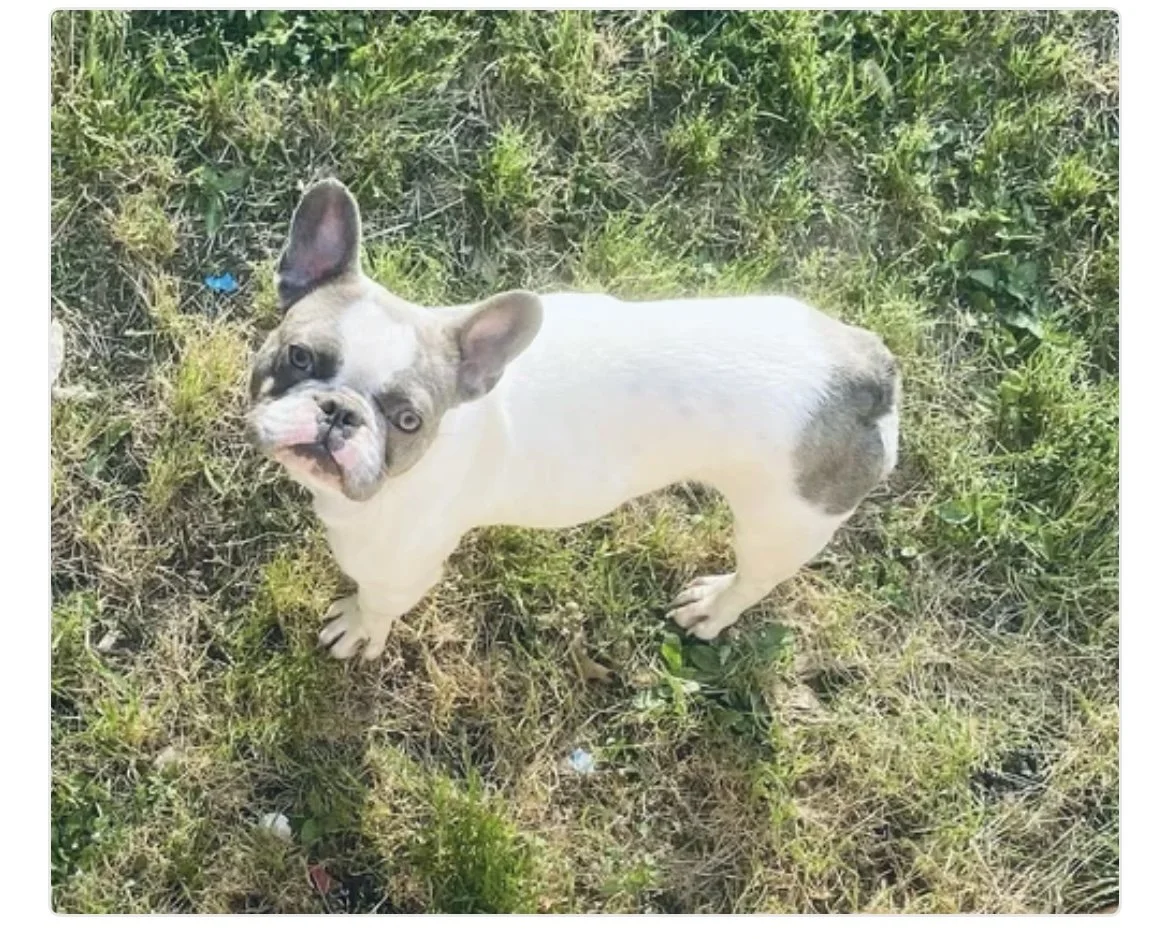 Larkin $1,000 (retired)