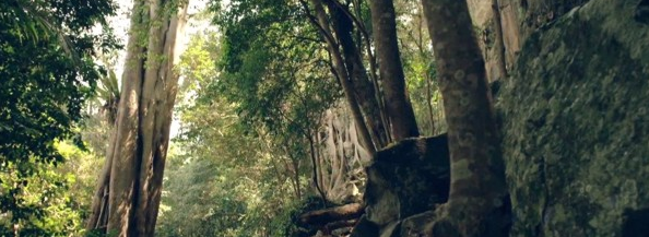 Time, Jungle.png