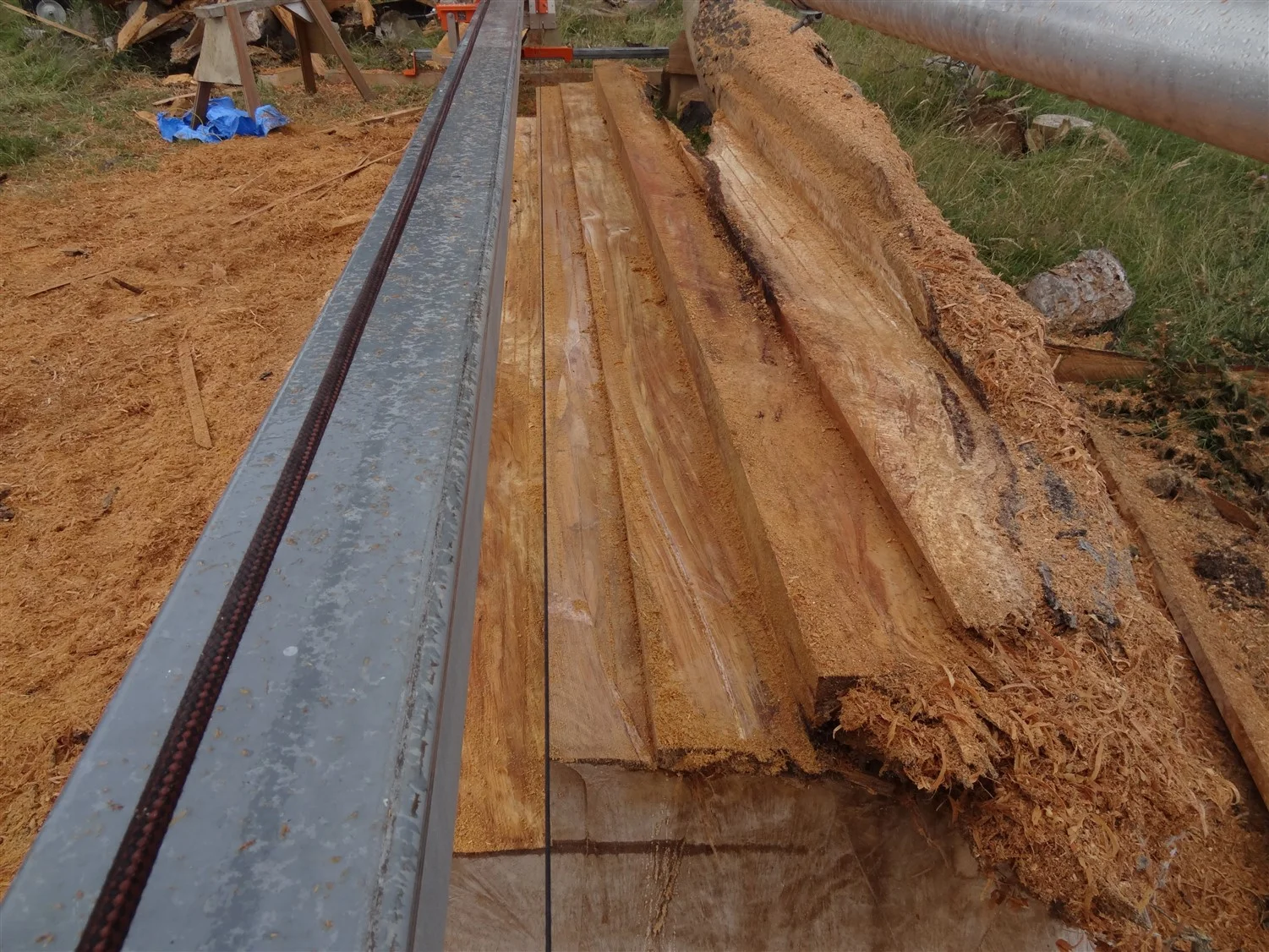 03_DeadNZRimuBecoming100mmx15mmWallLining.jpg