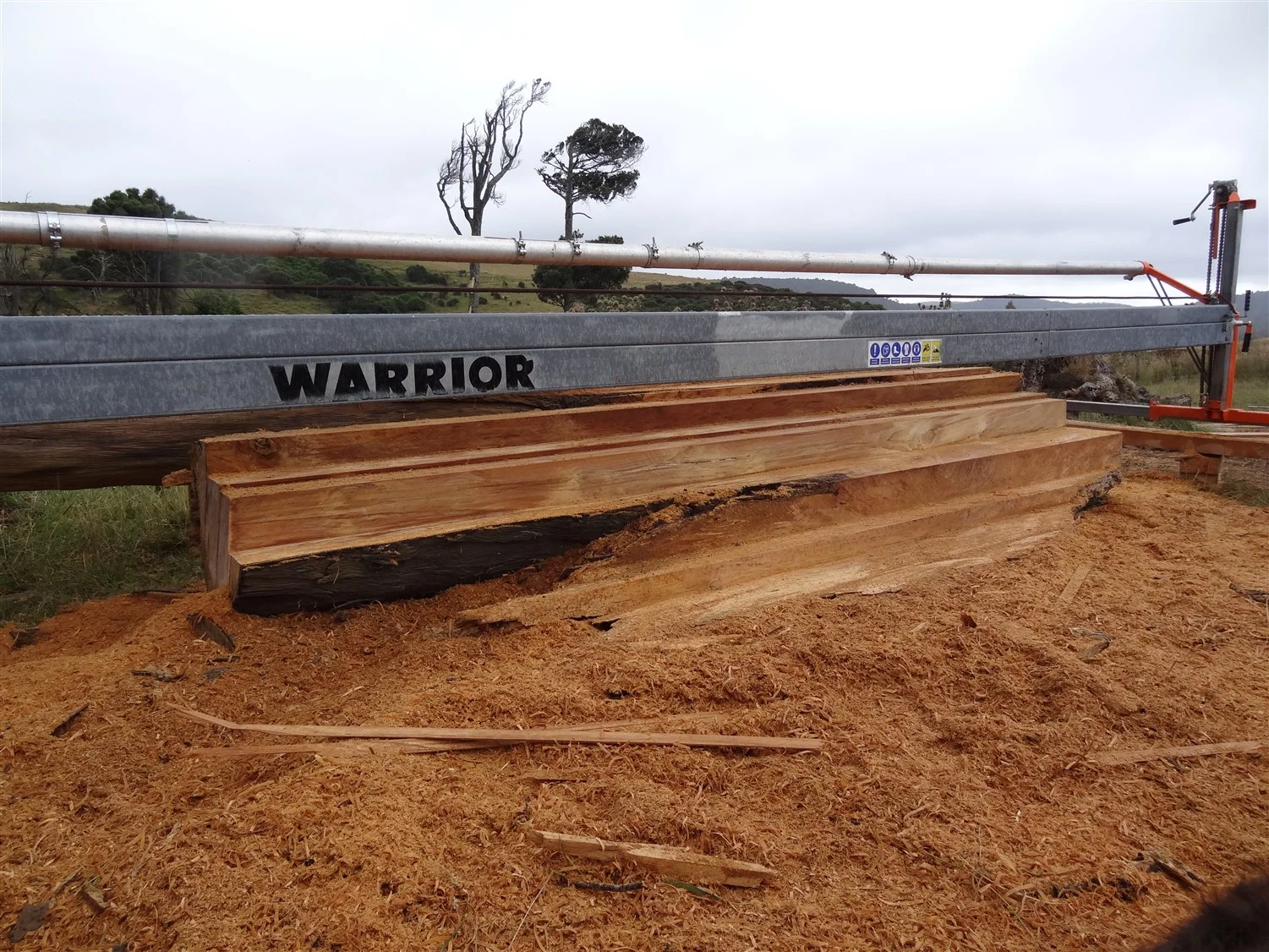 05_DeadNZRimu_WarriorAtWork.jpg
