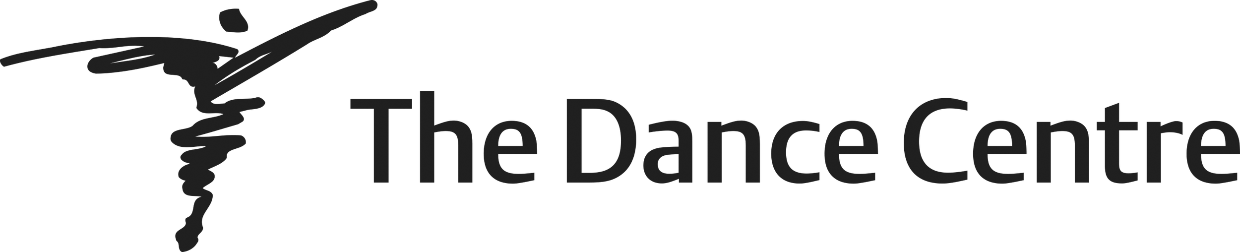 The Dance Centre 