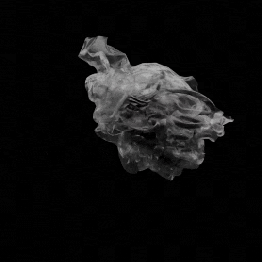 2024 Short Film Calls (2).gif