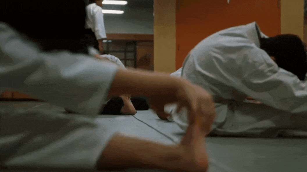aikido_onlinescreening.gif