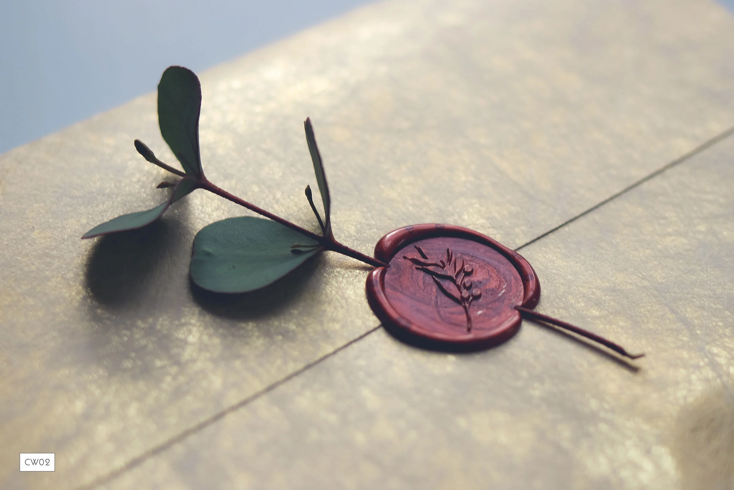 CW02_waxseal-envelope-ananyacards.com-1.jpg