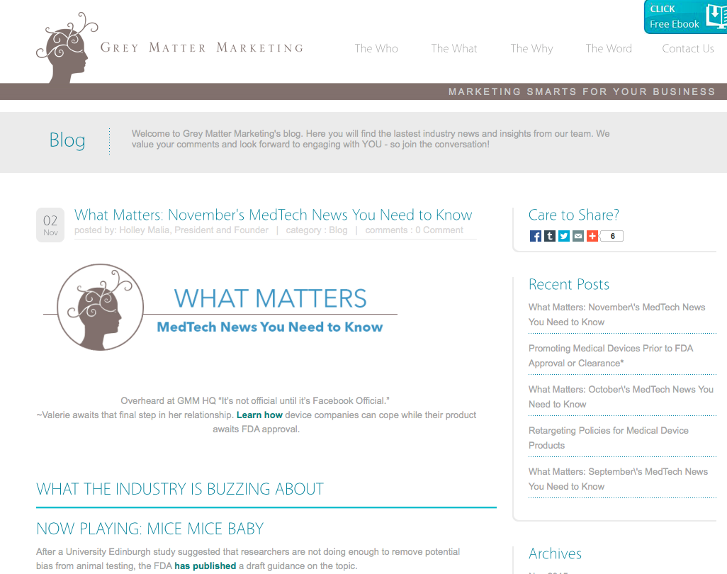 Grey Matter Marketing Monthly Newsletter - I write the monthly newsletter for this medical device marketing agency. This involves distilling information from several news articles as well as the agency's blog into concise, witty snippets. Grey Matter Marketing