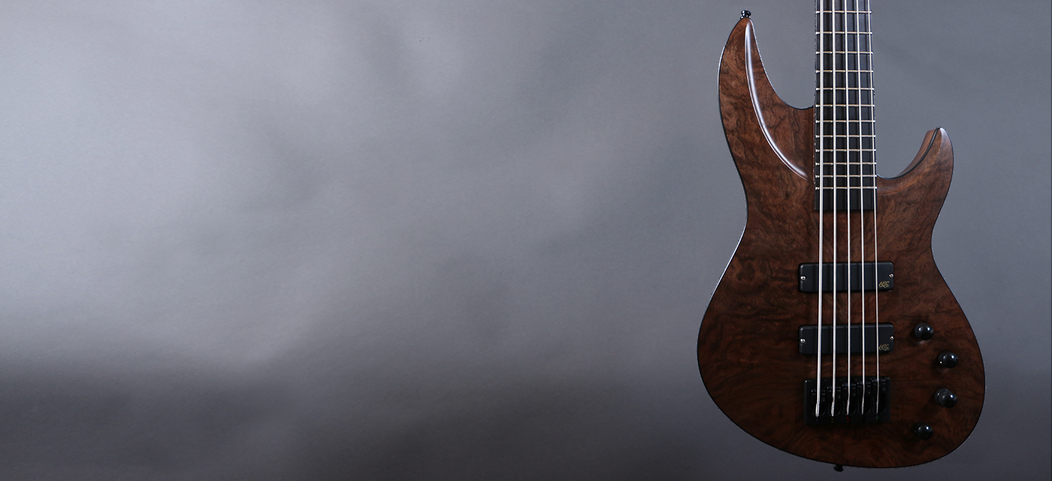 Spartan Bass 5 2.png