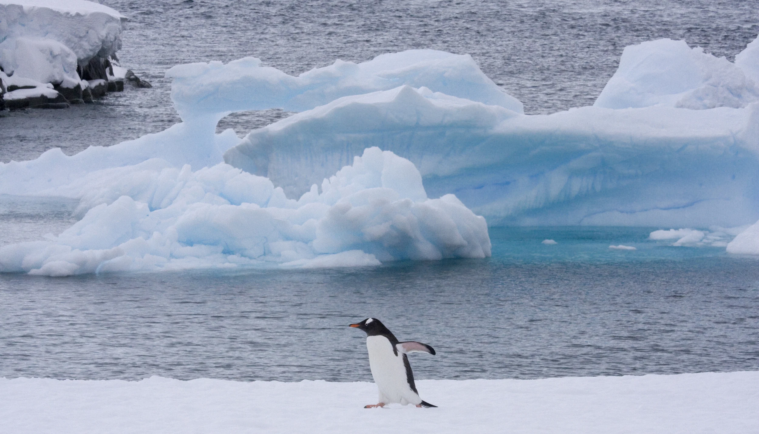 Antarctica