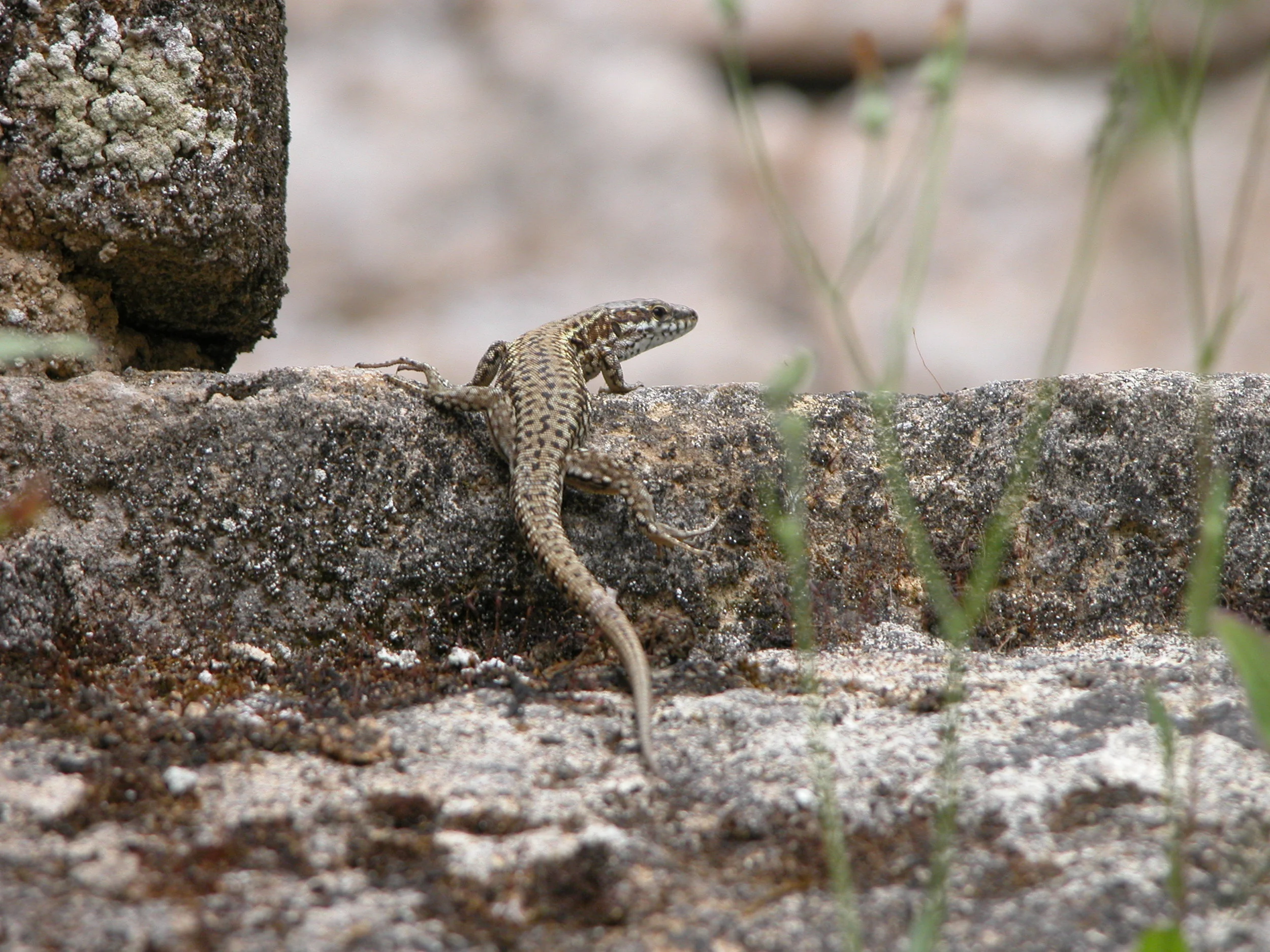 Dordogne Region, France