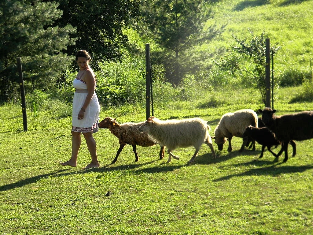 Follow the Leader
