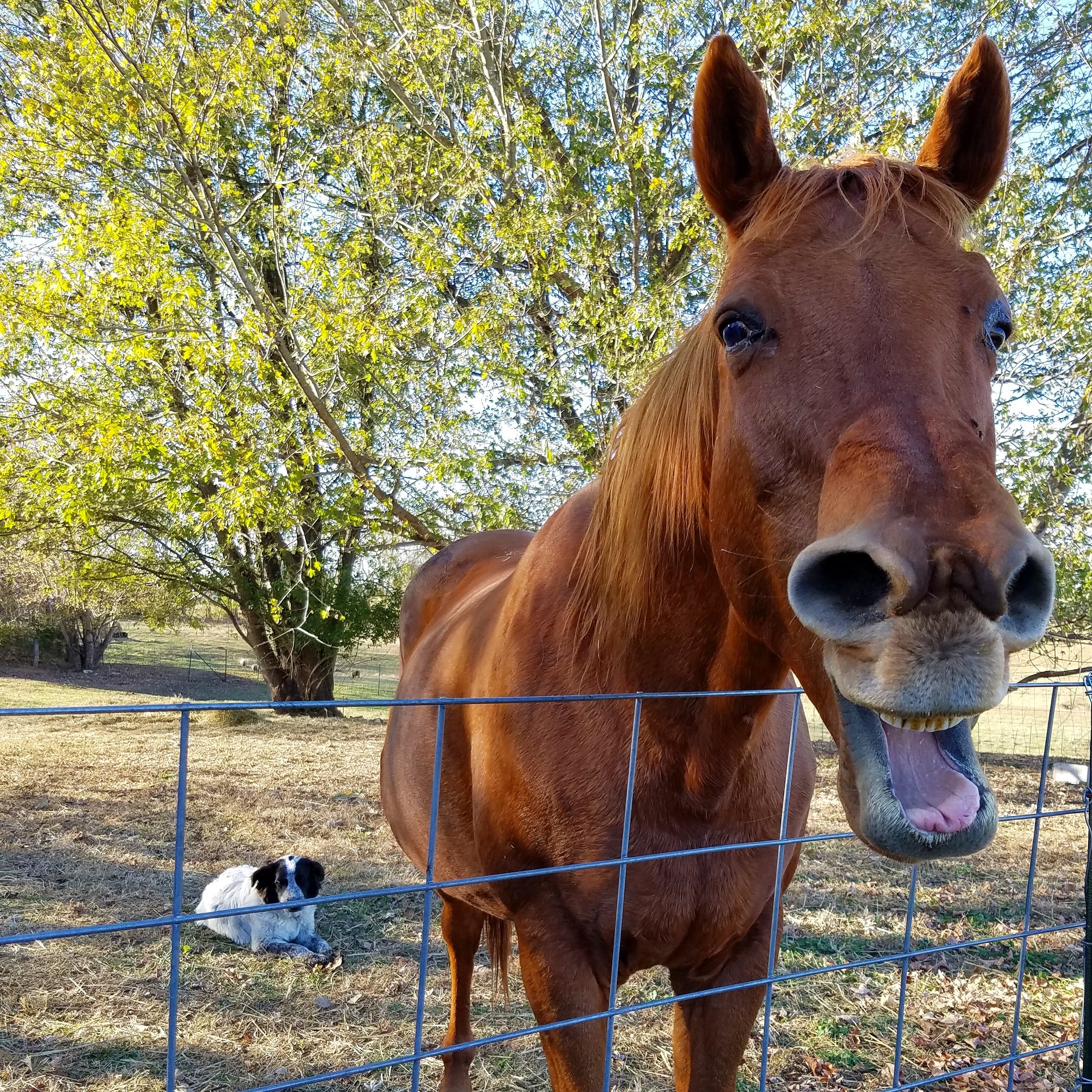 Penny and Eula