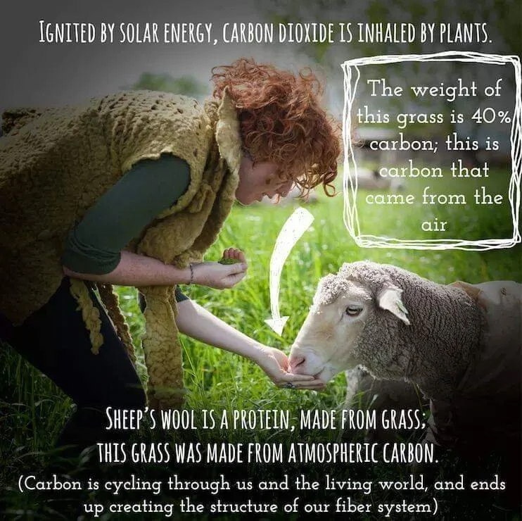 Ballyhoo Farm & Fiber Emporium photo 2
