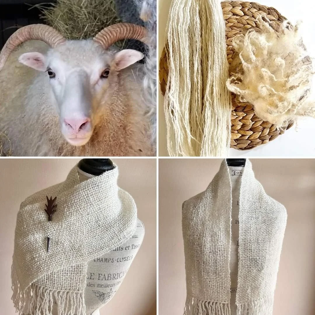 Ballyhoo Farm & Fiber Emporium photo 15