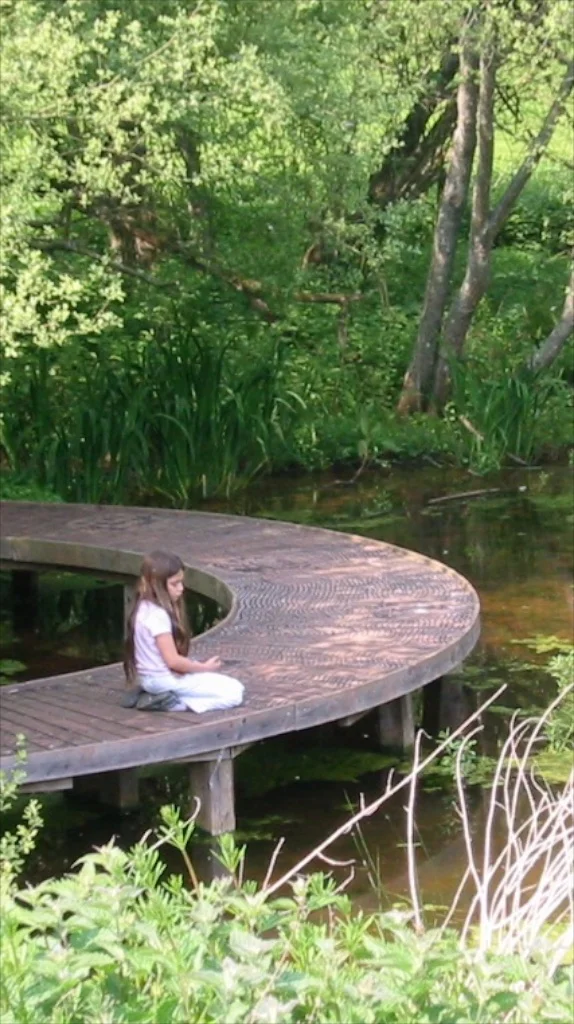 Emily's Guided Meditation