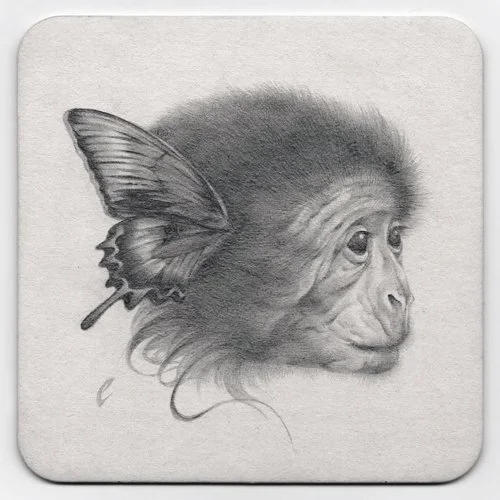 Coaster: Bloomer Study, III