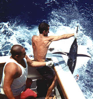 Kauai offshore marlin fishing 
