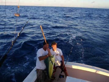 Mahimahi catch Maui fishing on Action