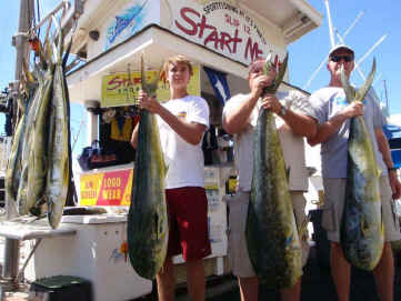 Mahimahi catch on Maui fishing charter