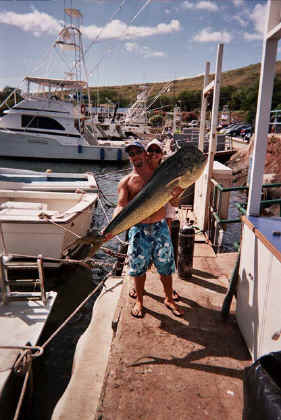 Big Mahi caught on Maui, Hawaii