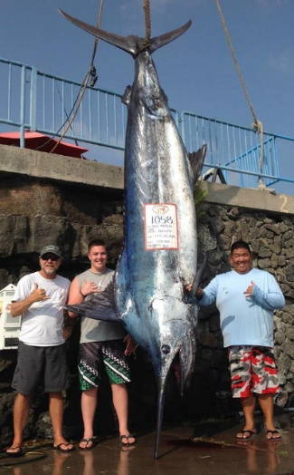 Blue Marlin on Ihu Nui, Kona, Hawaii