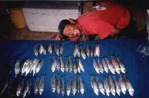 Hawaii bottom fishing catch