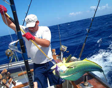 Hawaii fishing report