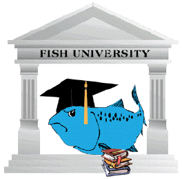 Hawaii fishing techniques and lessons