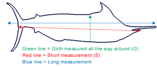 Blue Marlin Weight Chart