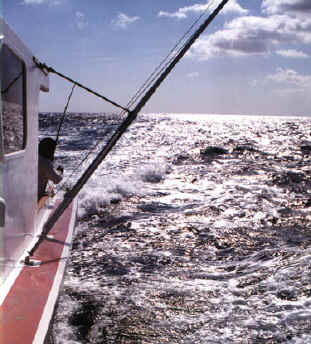 Outriggers move the lure outside the wake.