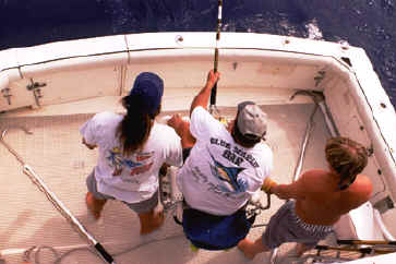 Fighting the Marlin