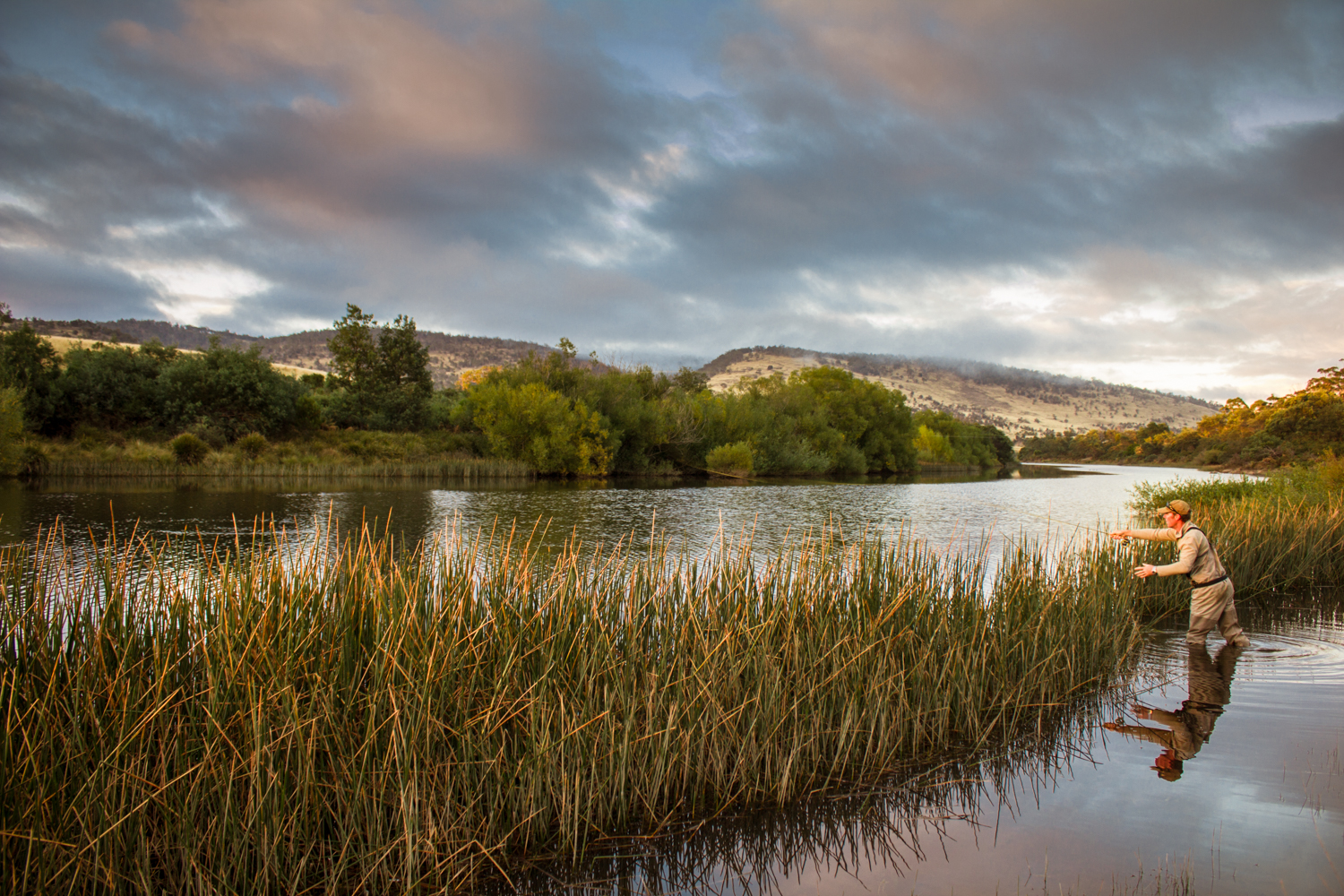 Paul casting to an early morning rise on the upper South Esk.