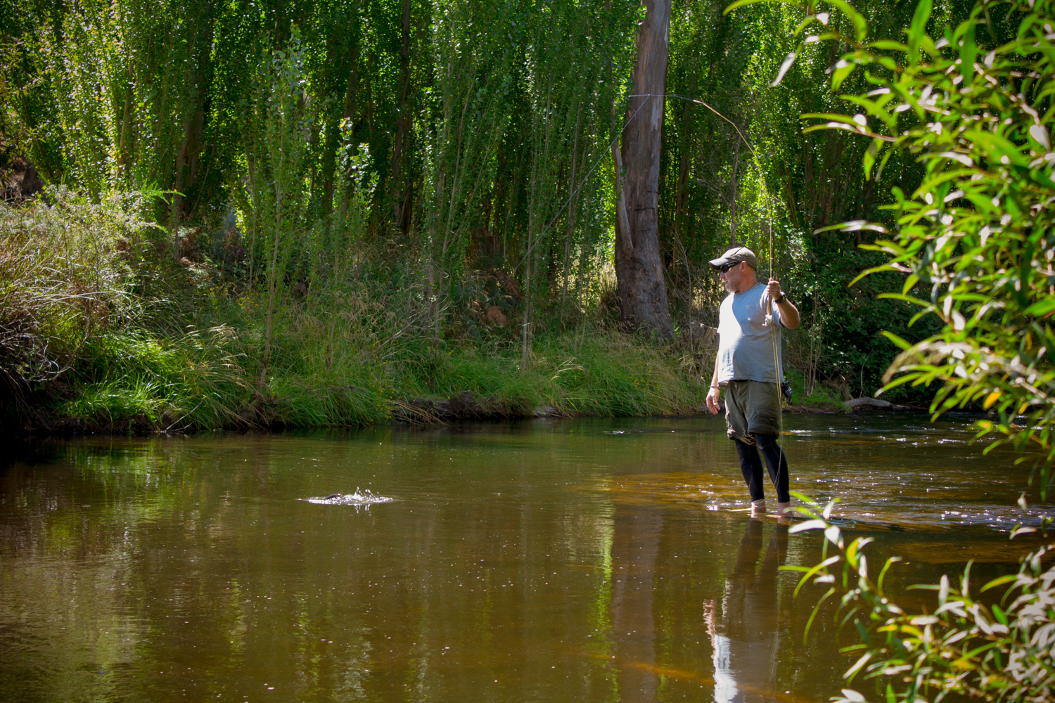 Simon playing a lovely Tyenna trout.