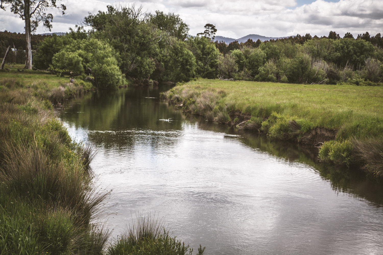 Paul casting to a finicky North Esk trout.