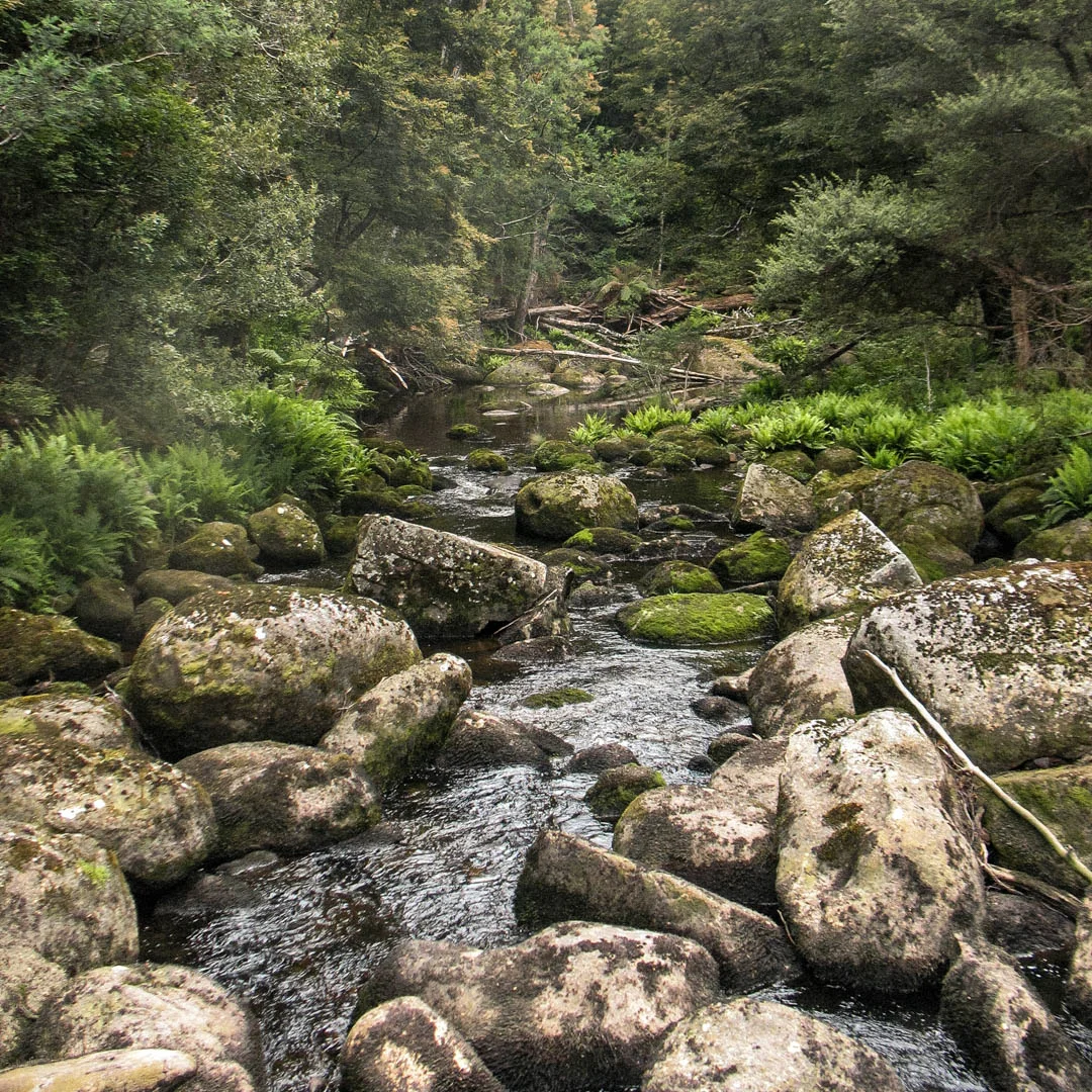 Twigwater does not get any better.