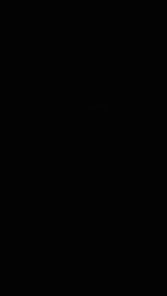 ETNIES VERT EXPLODED IG_2.gif