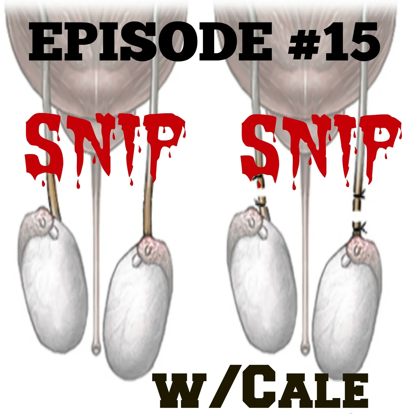 EPISODE # 15 Snip Snip w/ Cale