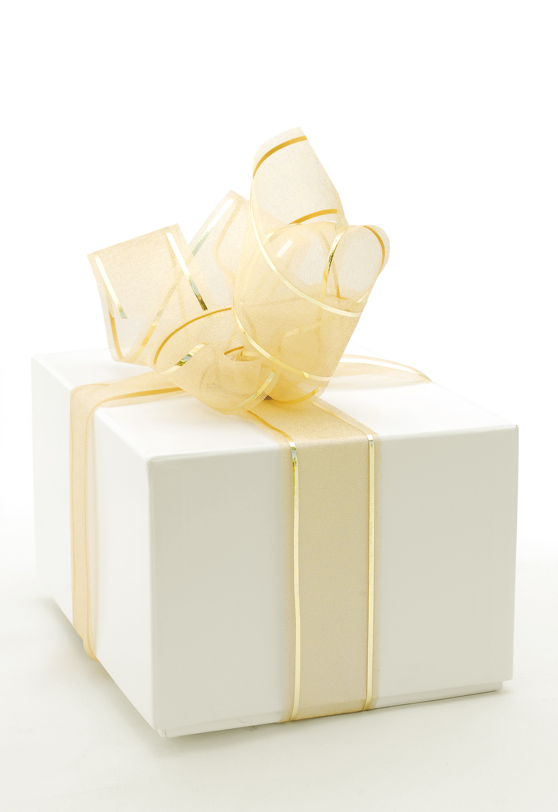 bigstock_White_Present_Box_1735532