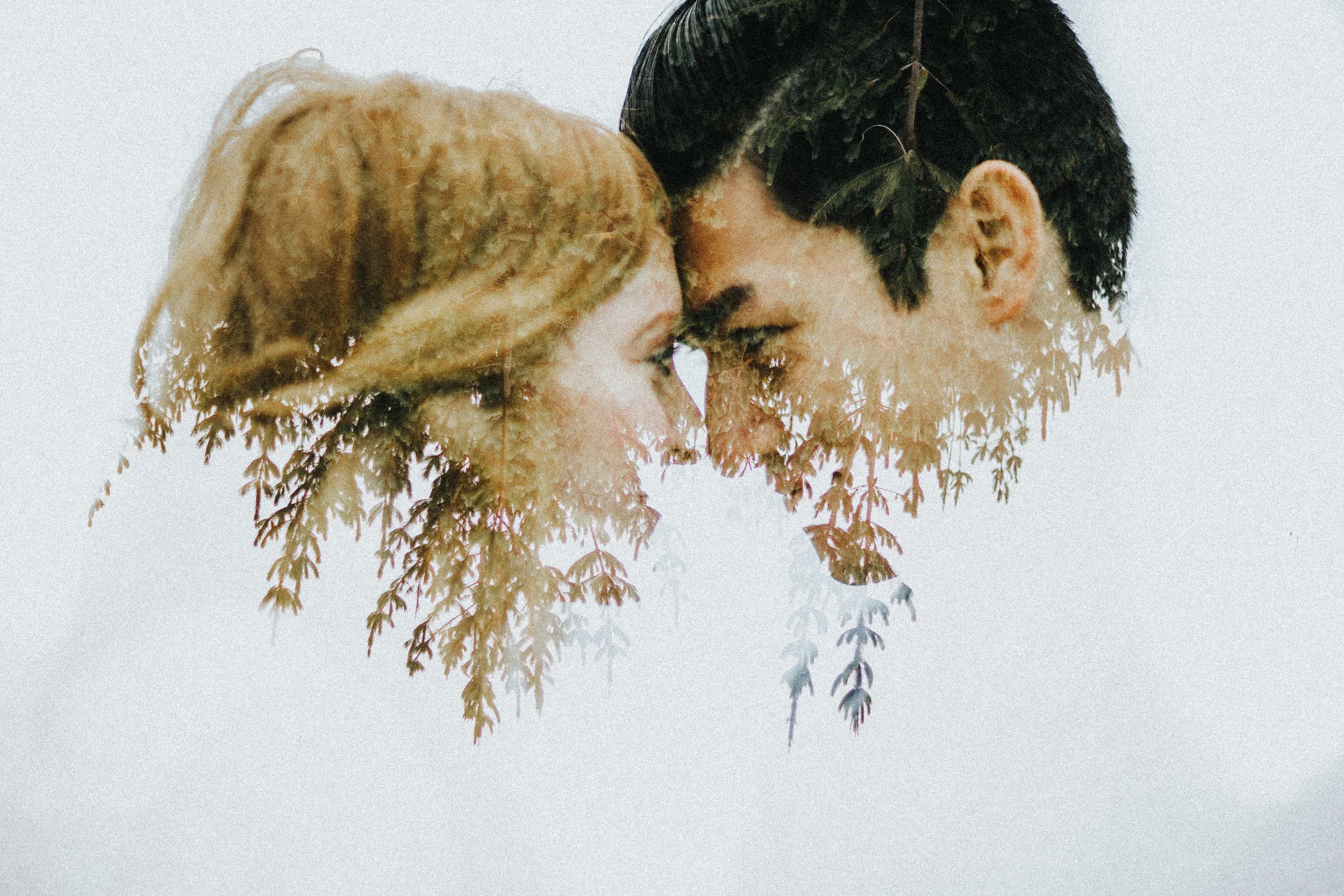 MULTIPLE EXPOSURE X TUTORIAL FOR CANON CAMERAS