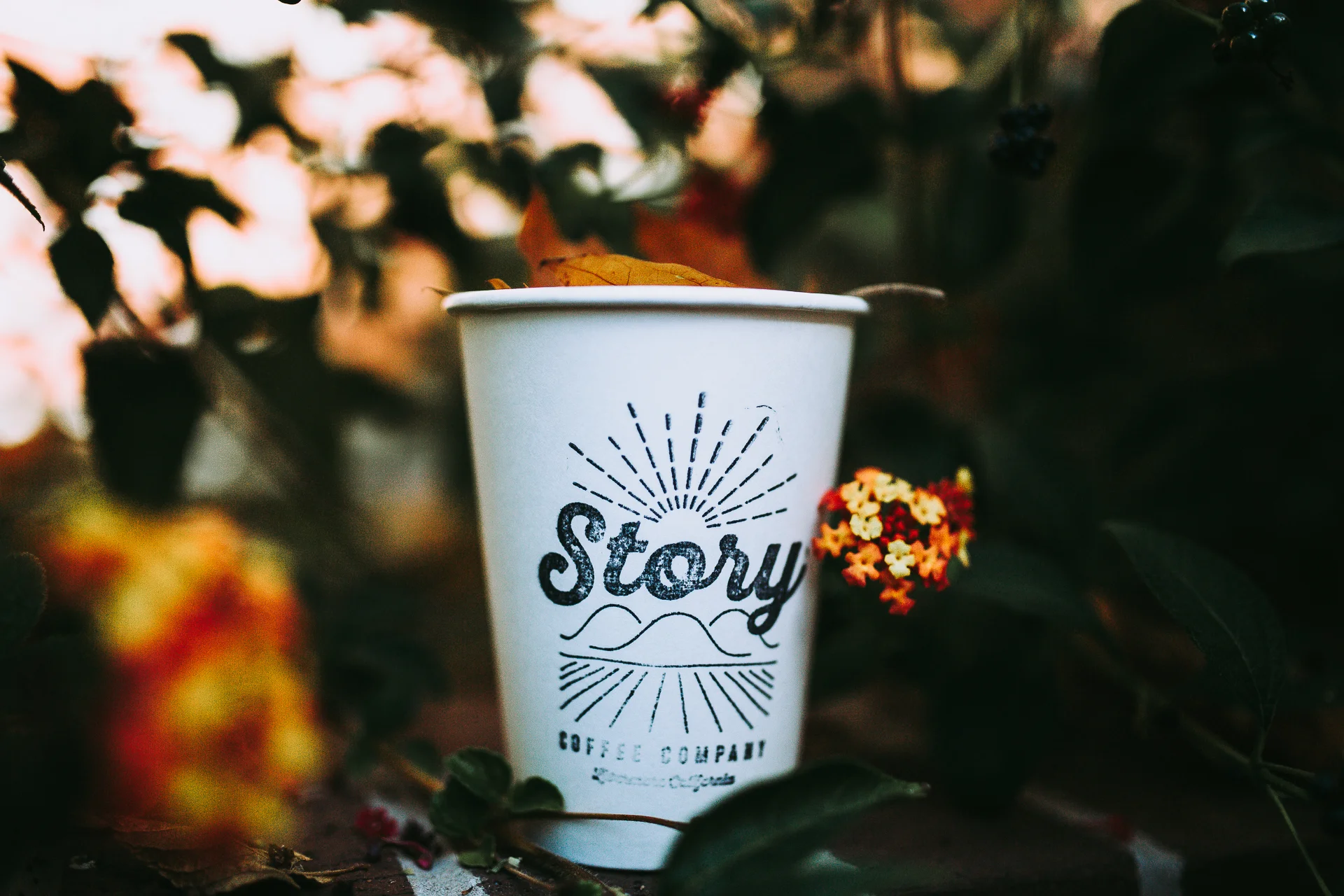 Story Coffee | Livermore, CA