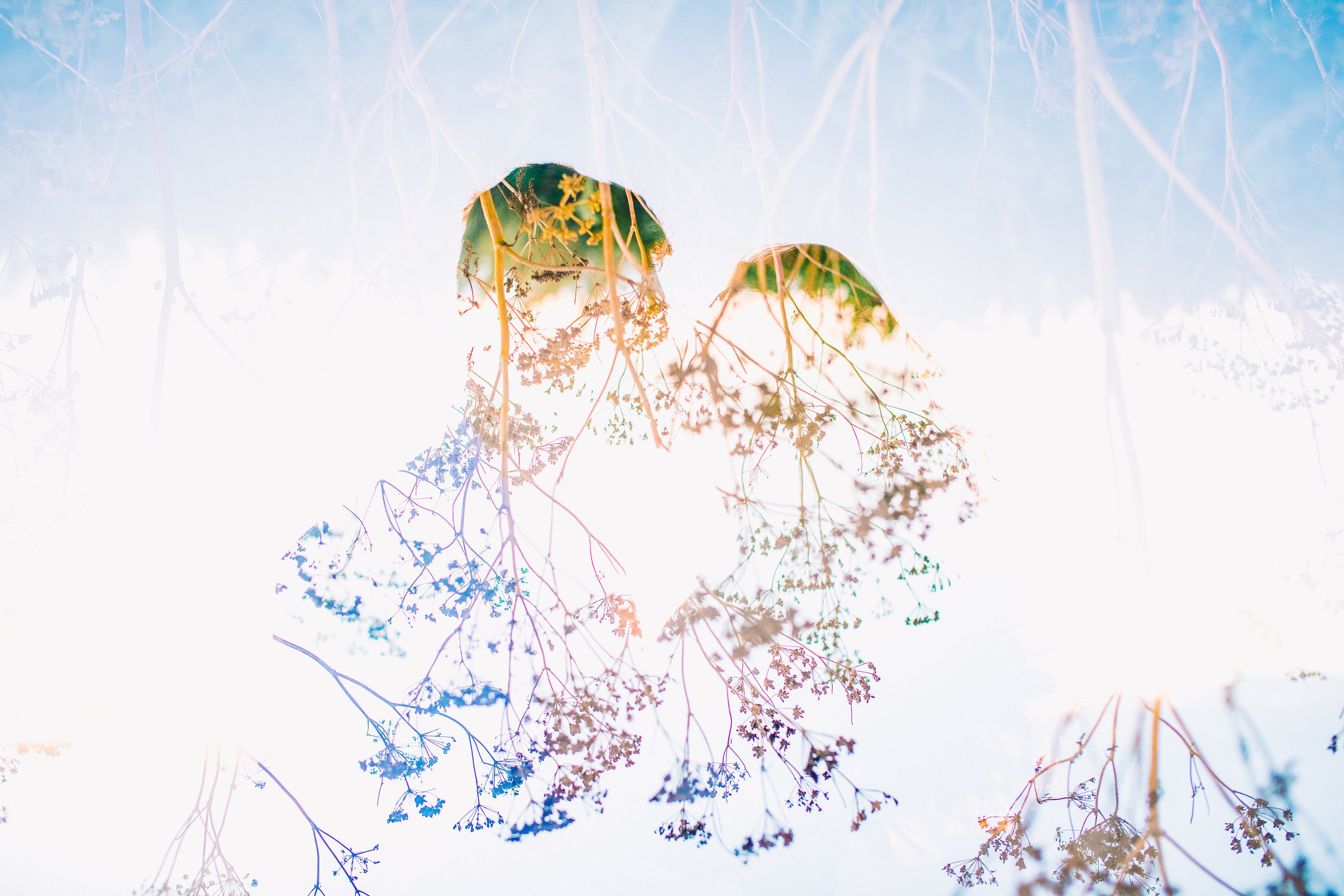 Olivia &amp; Keenan | Engagement Session at Big Basin National State Park &amp; Davenport Shark Fin Cove.