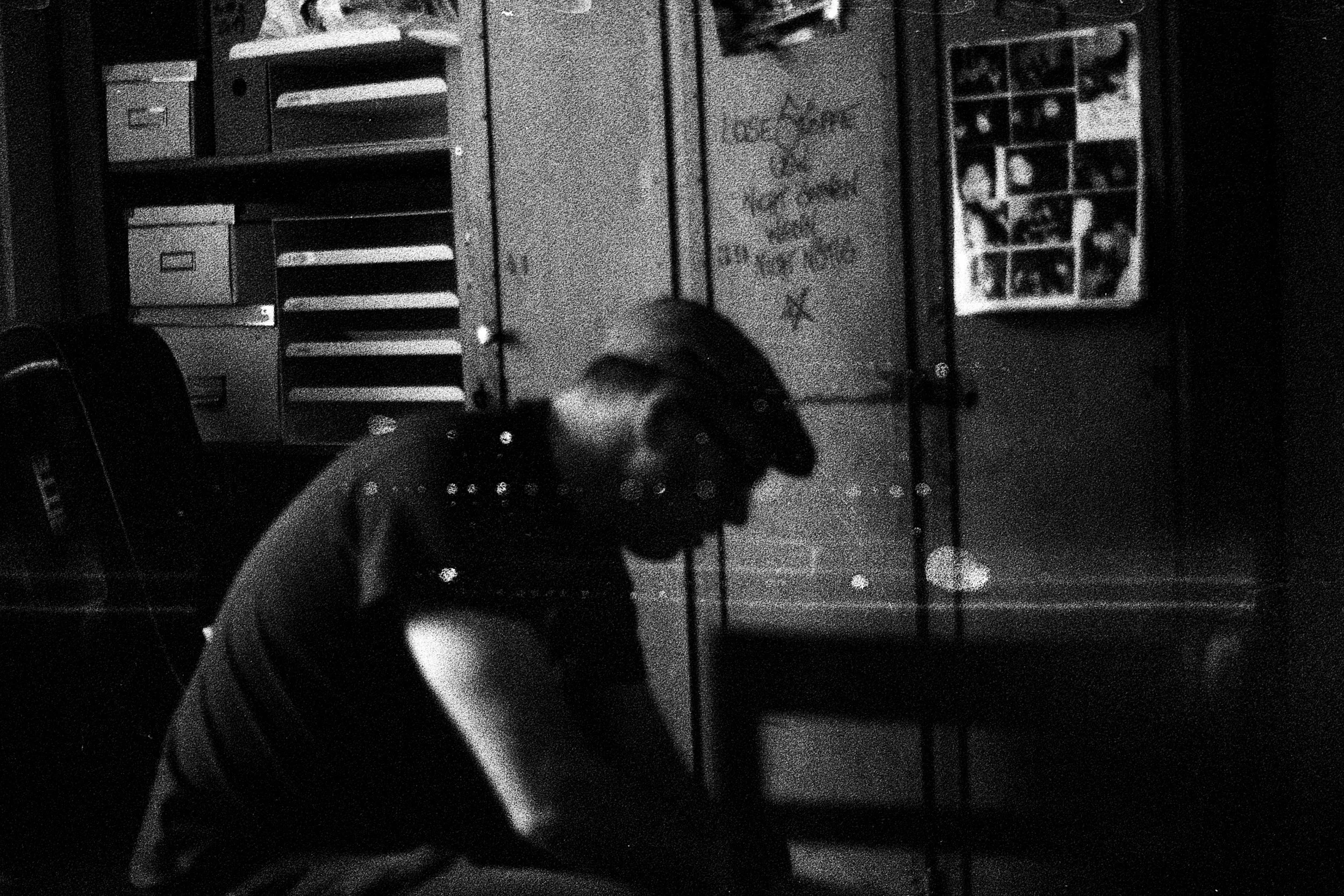 Expired Delta 3200 and a punkrockshow