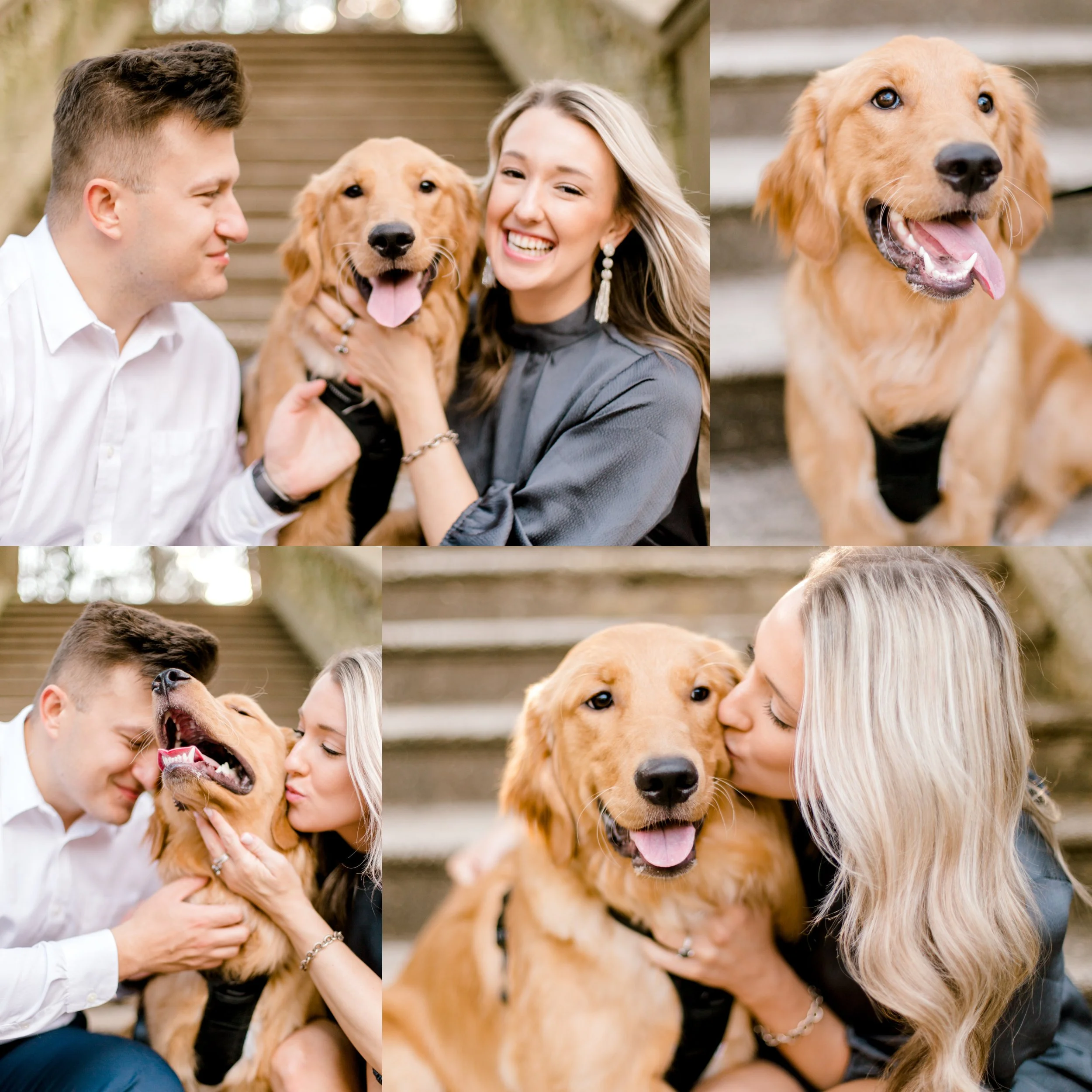 A Golden (Sunset And Retriever) Session At Cator Woolford Gardens | Atlanta, Georgia