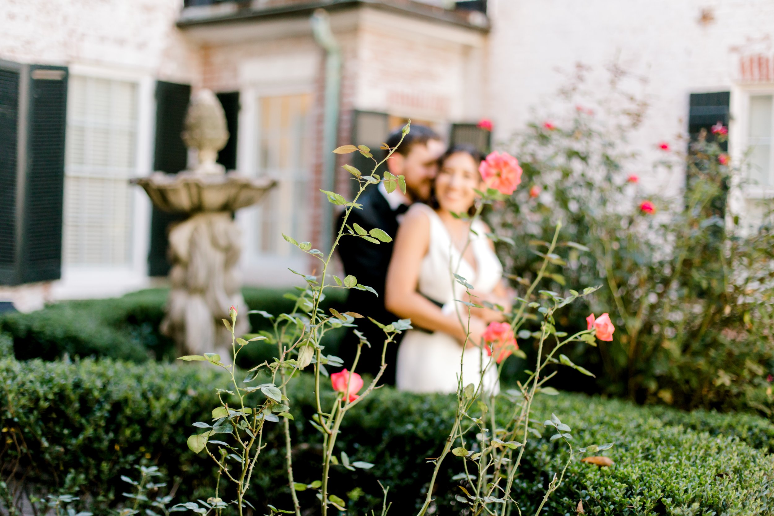 Love Birds21.jpg