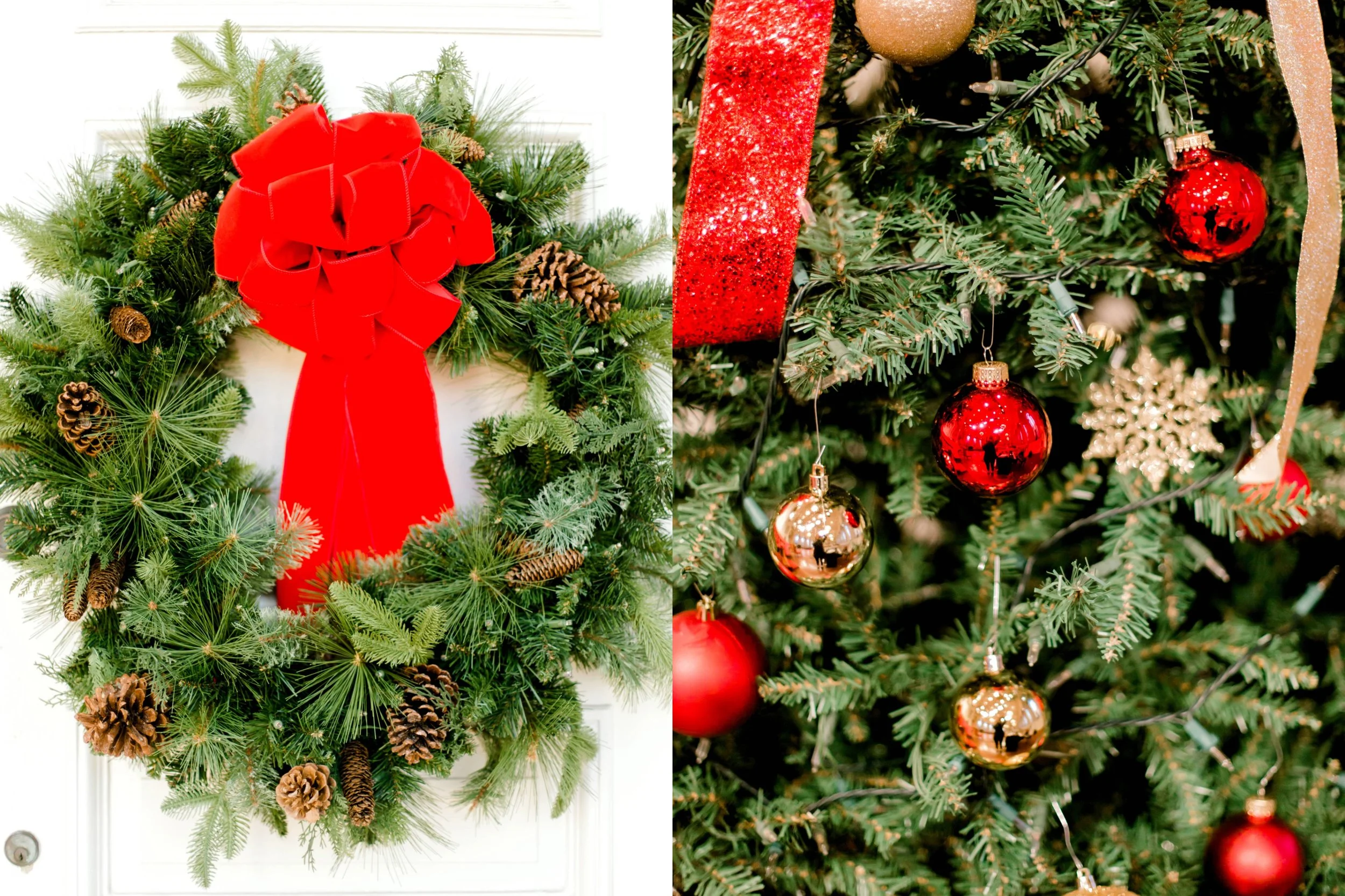 My project - 2025-07-25T204508.851.jpeg