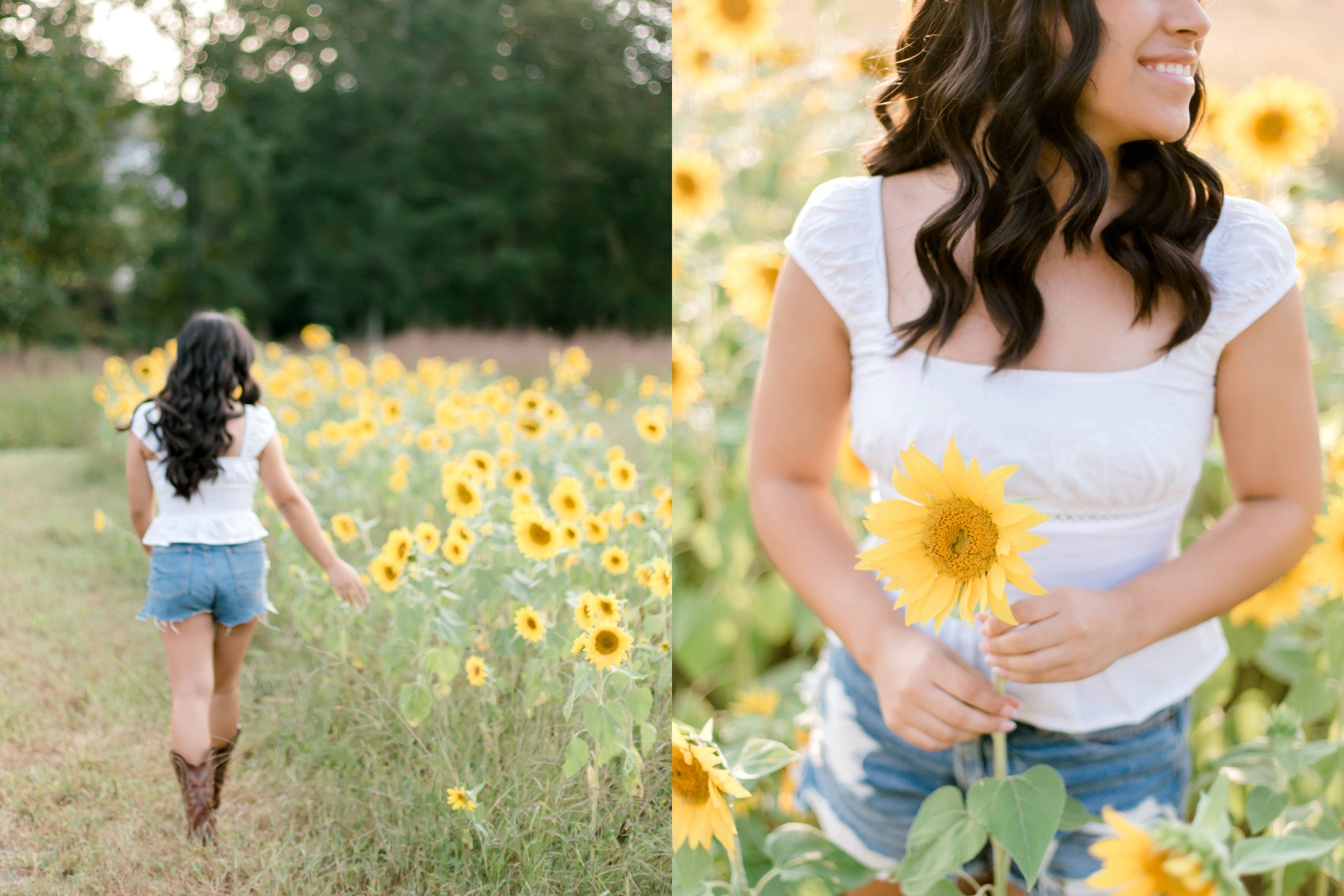 My project - 2025-09-21T231620.089.jpeg